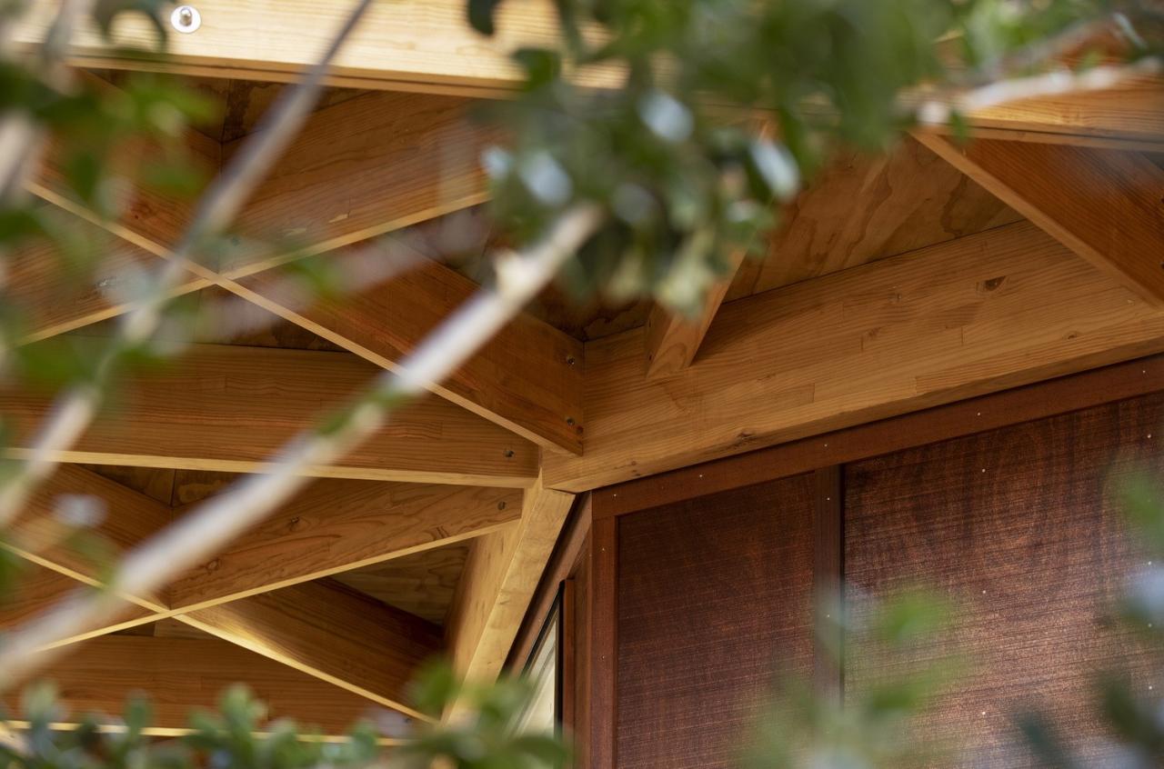 BIM建筑|新西兰儿童中心 New Shoots / Collingridge and Smith Architects