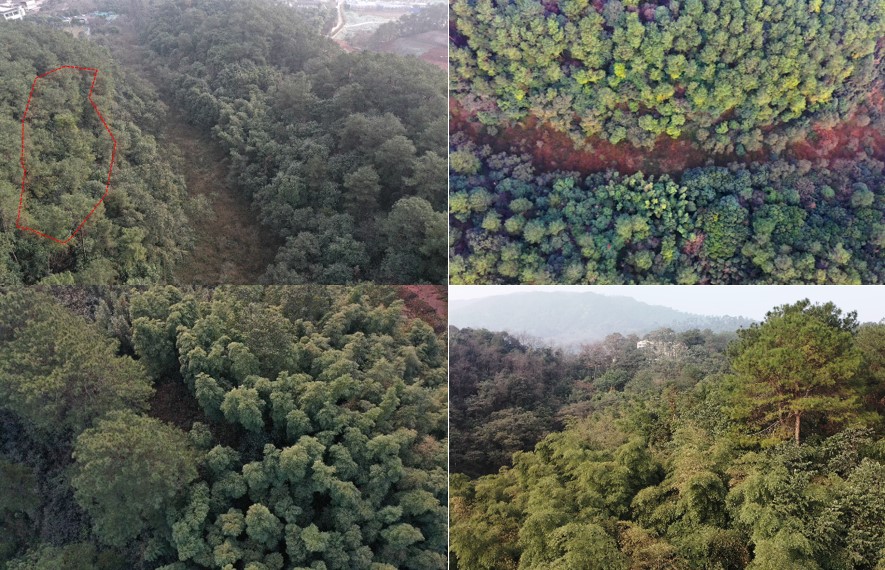 BIM建筑|会宗书院 / UA尤安设计