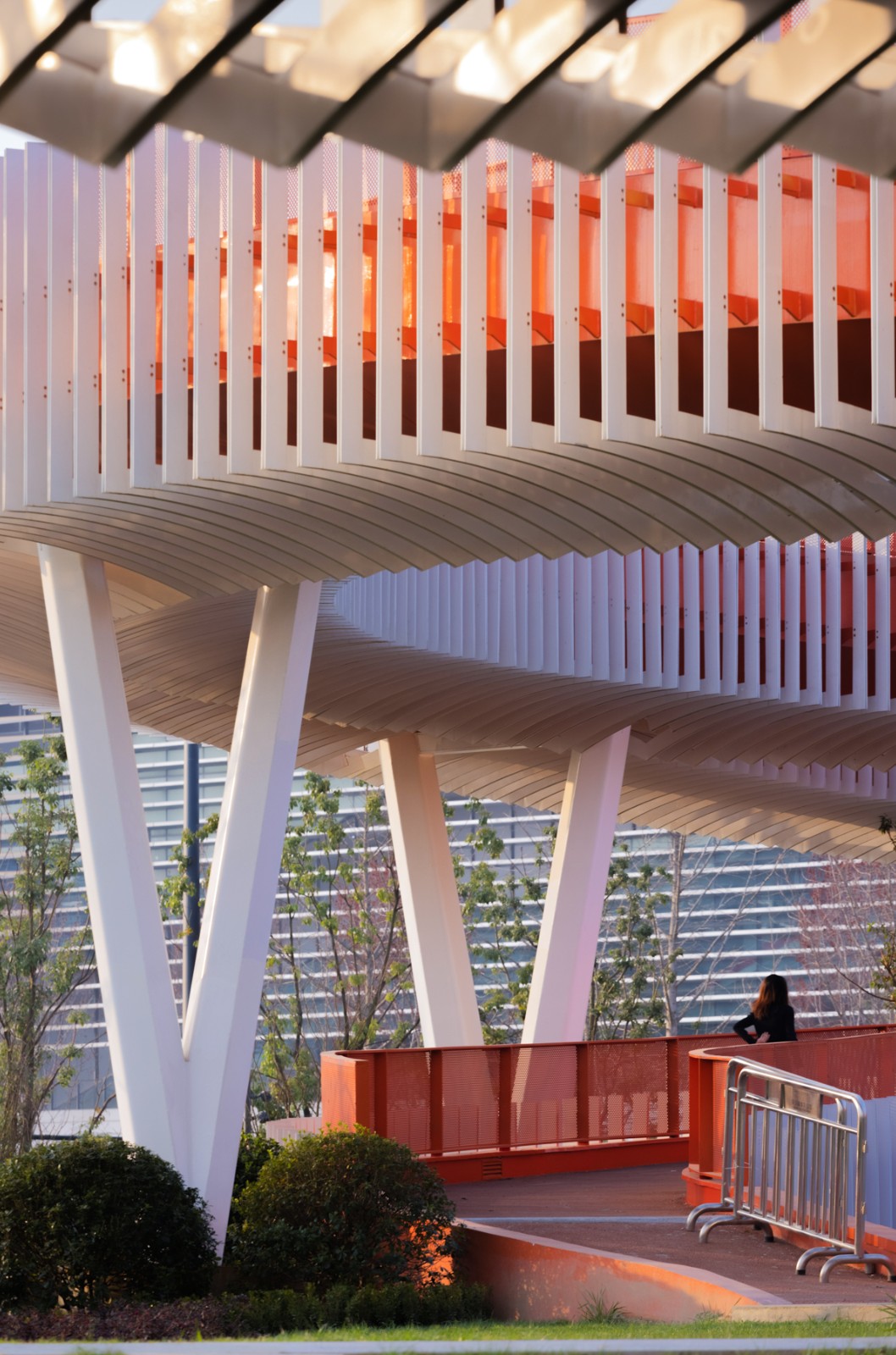 BIM建筑|成都大运会东安湖场馆景观连廊 / 四周建筑