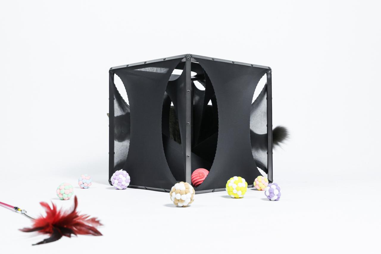 BIM建筑|假如业主是一只猫:猫立方系列 / 杜雷