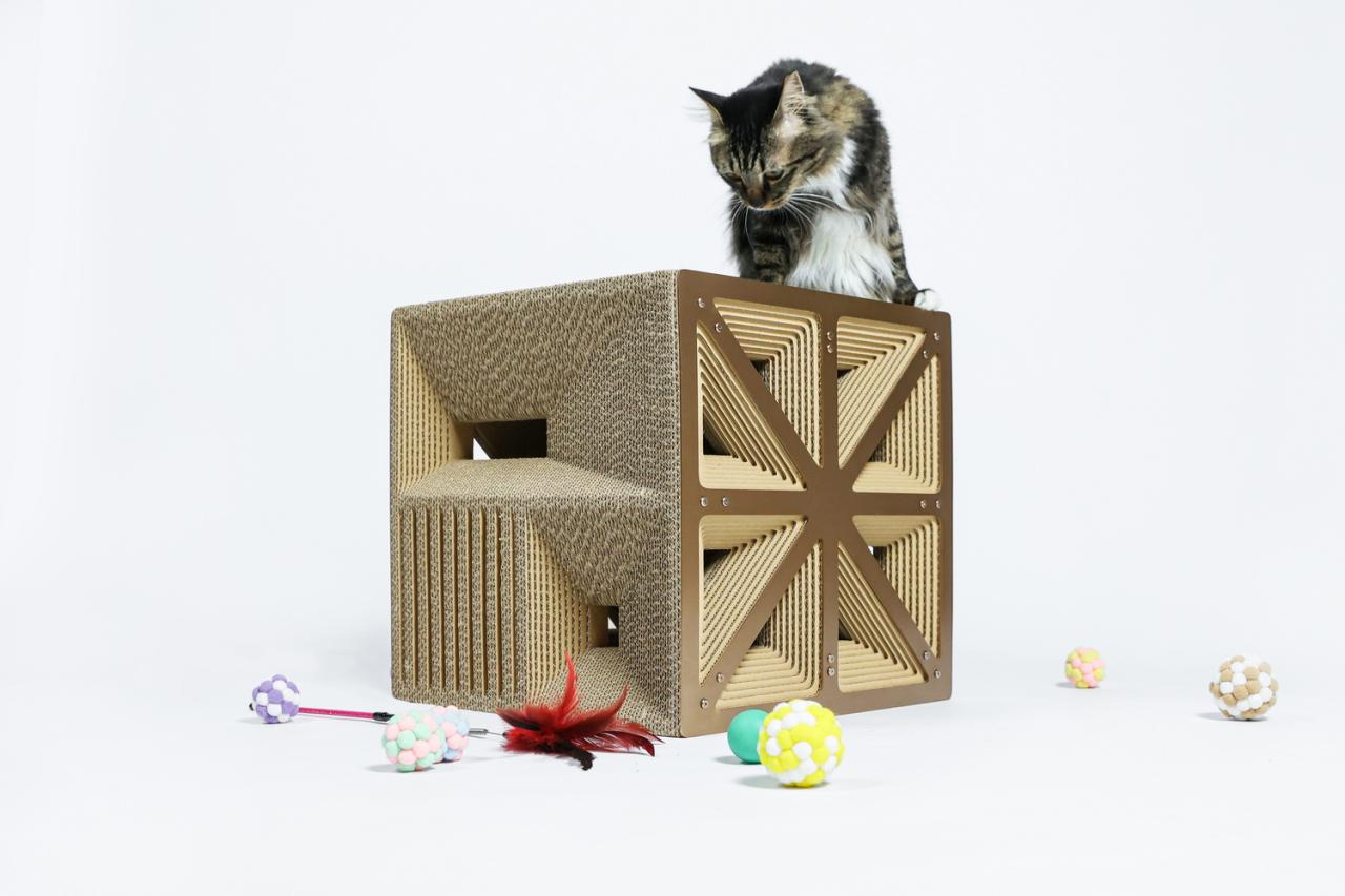 BIM建筑|假如业主是一只猫:猫立方系列 / 杜雷