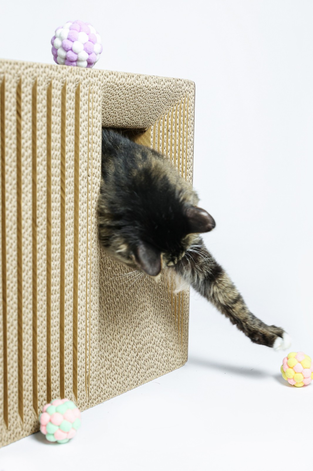 BIM建筑|假如业主是一只猫:猫立方系列 / 杜雷