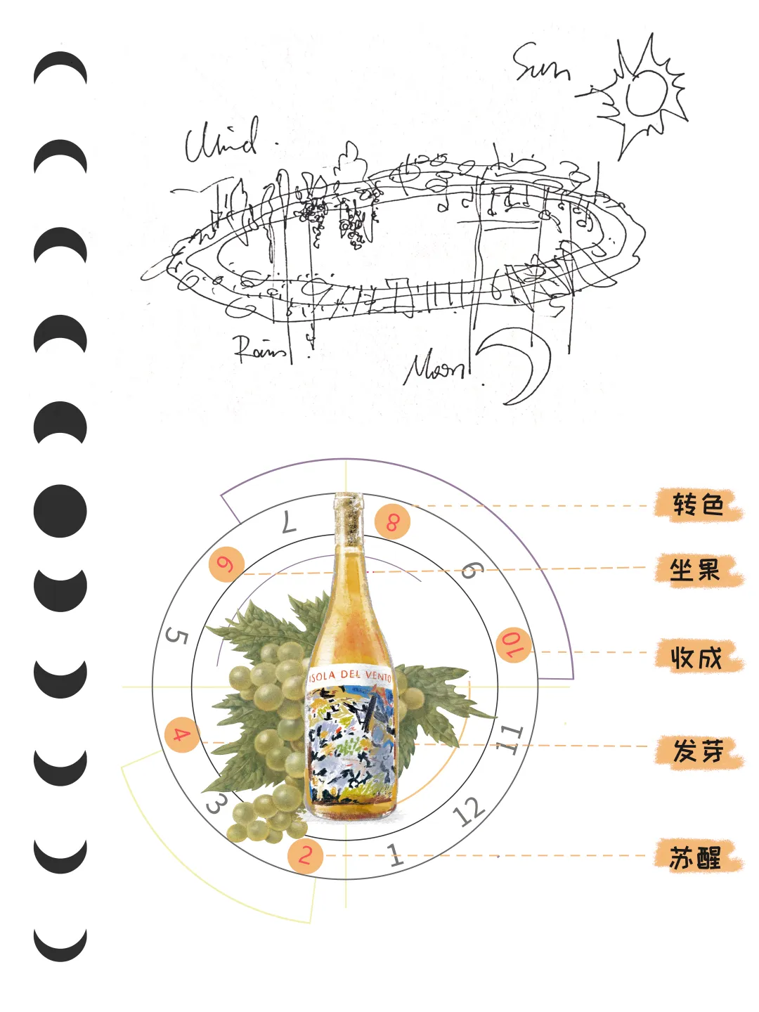 BIM建筑|Wine Nuts酒疯子餐酒吧 / 未韬建筑