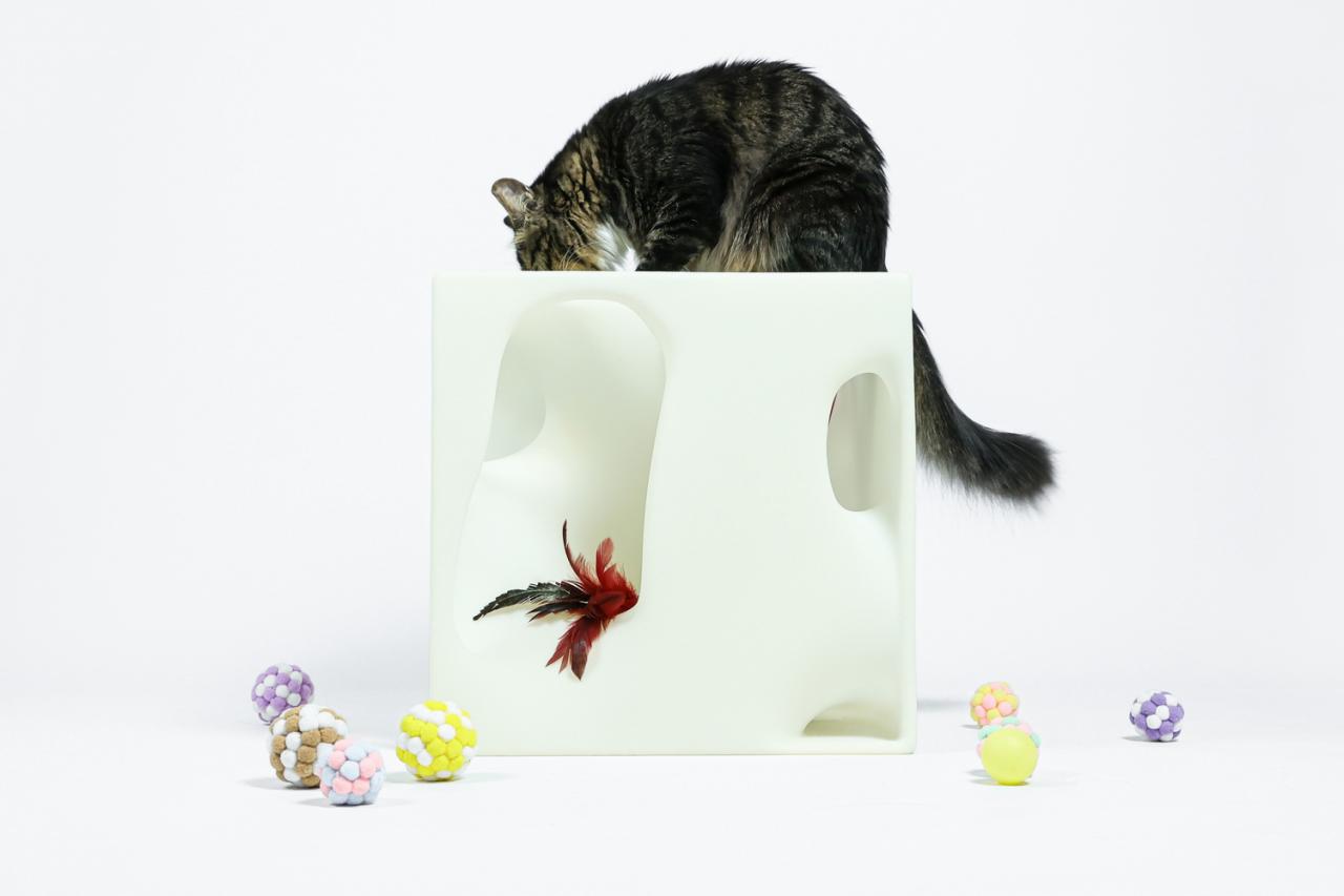 BIM建筑|假如业主是一只猫:猫立方系列 / 杜雷