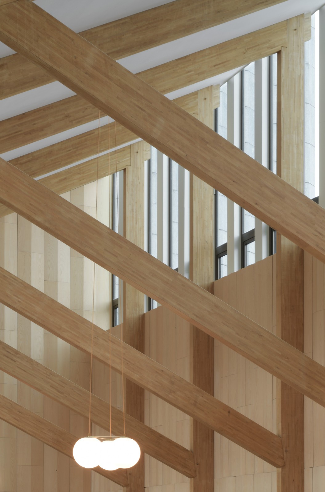 BIM建筑|复古绿釉，剑桥大学食堂 / Feilden Fowles