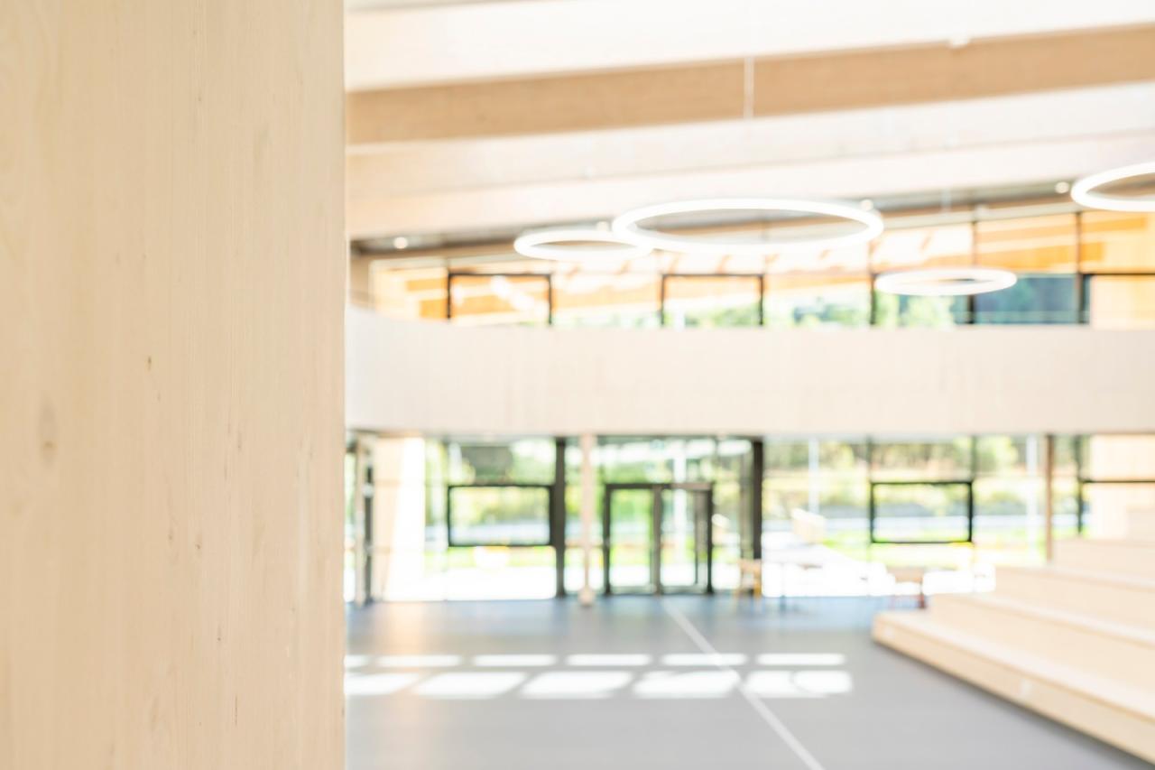 BIM建筑|Borgafjellet 小学 / LINK arkitektur