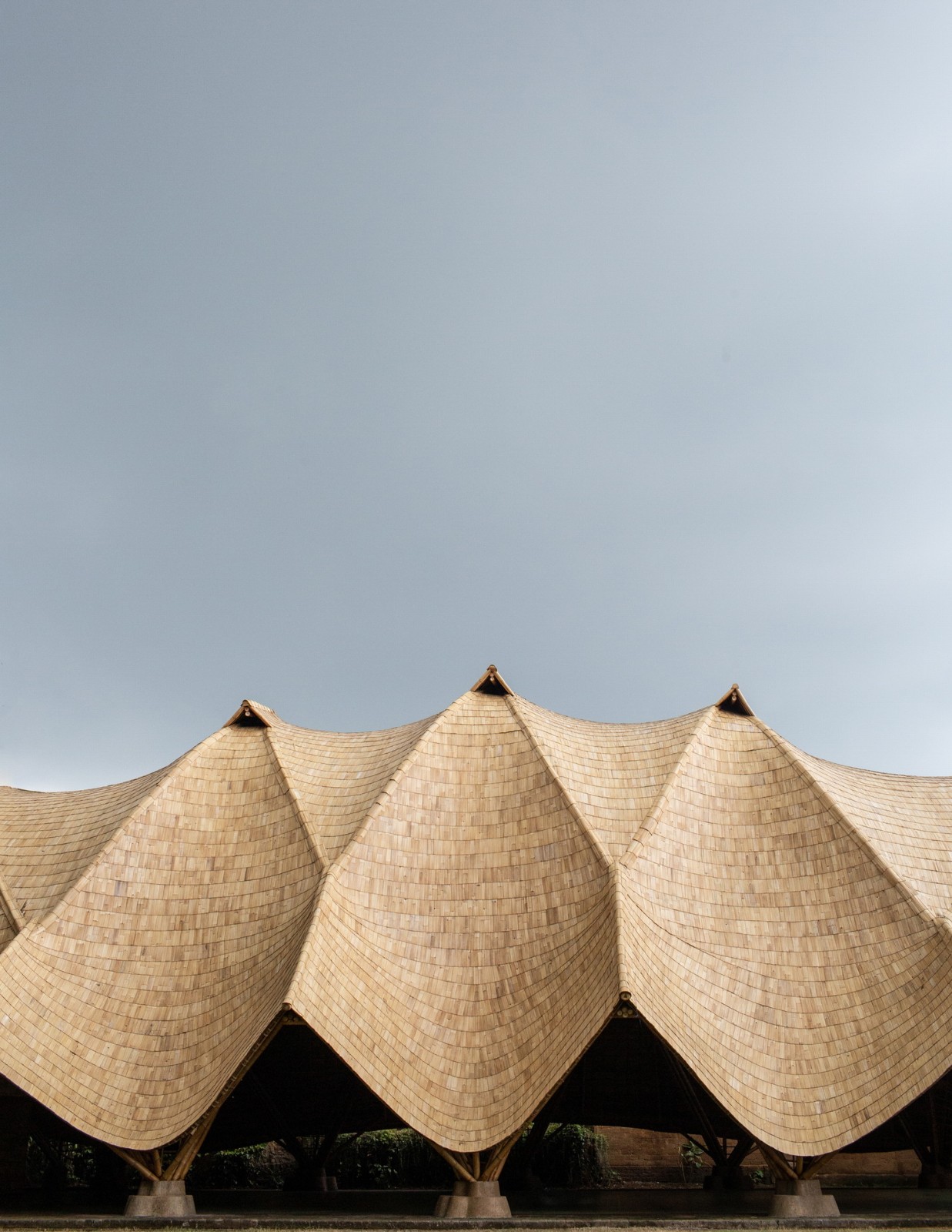 BIM建筑|最小结构最大空间，竹装置“弧” / IBUKU