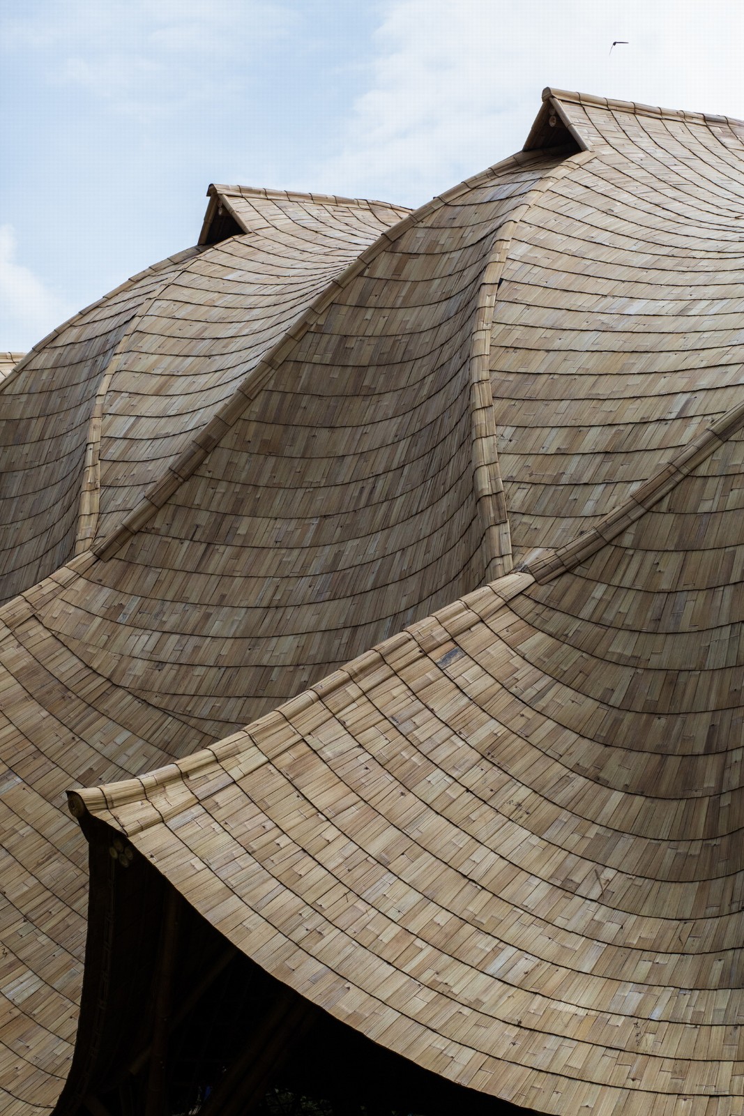 BIM建筑|最小结构最大空间，竹装置“弧” / IBUKU