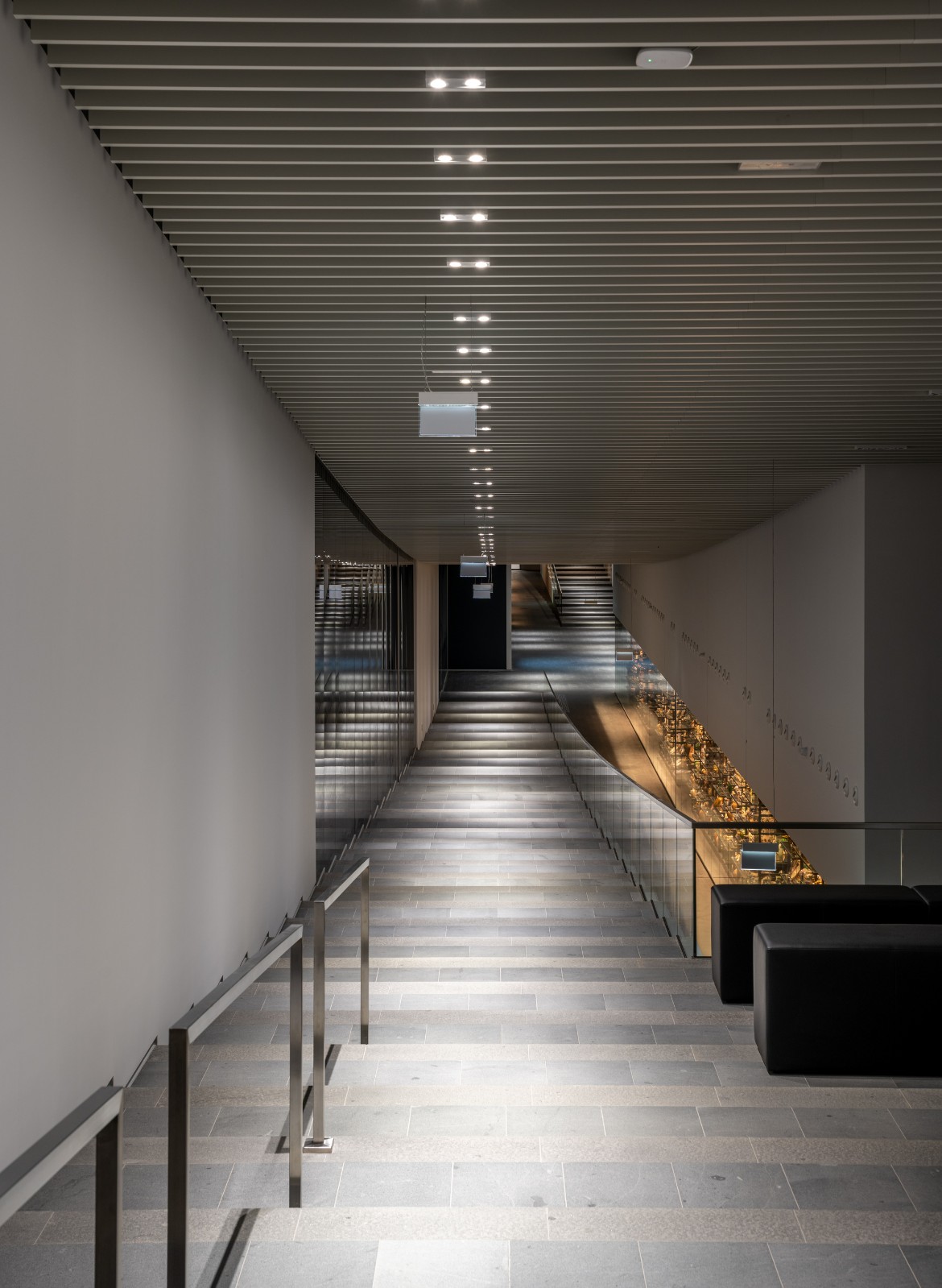 BIM建筑|布达佩斯民族学博物馆 / NAPUR Architect