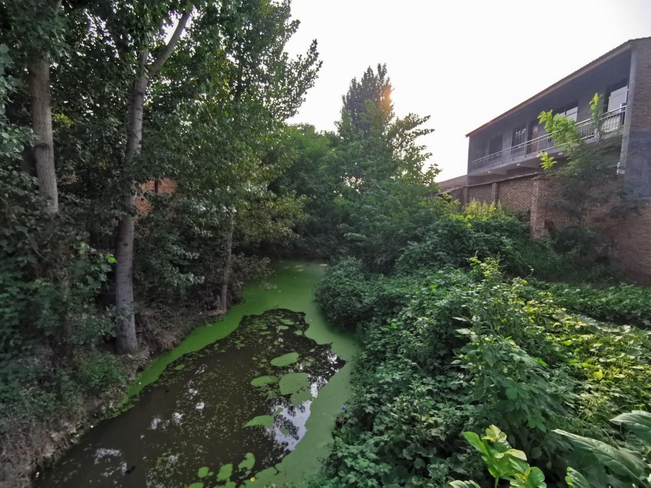 BIM建筑|基于特色基因传承的乡村功能提升改造示范——西安建筑科技大学建筑学院