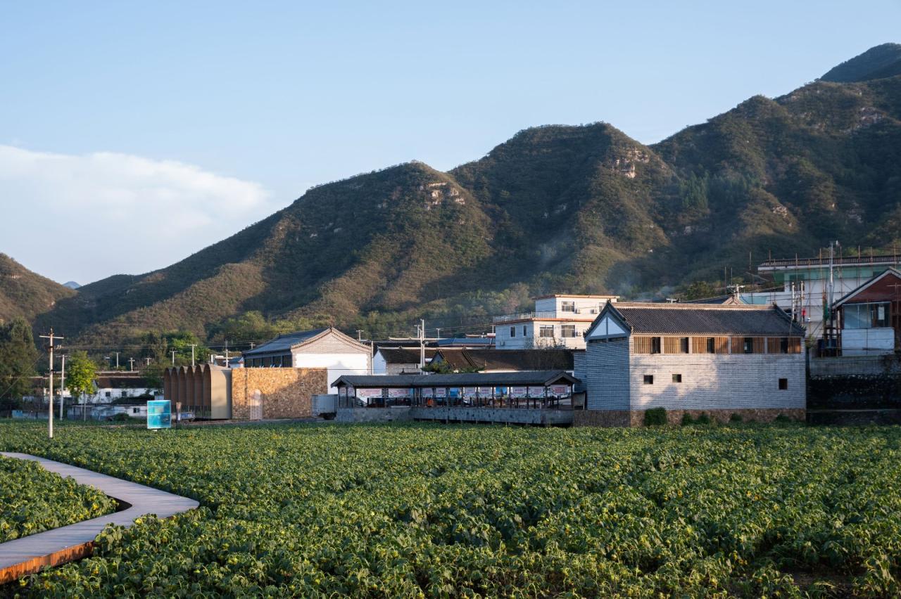 BIM建筑|田岗知行村：乡村会客厅 / 袈蓝建筑