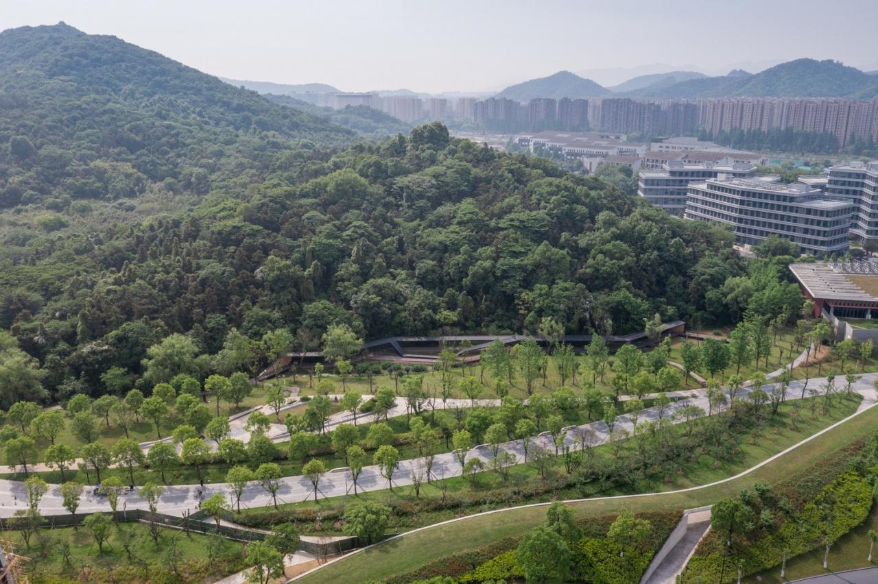 BIM建筑|溪上飞檐：浙江音乐学院校园微更新 / 朱培栋-line+建筑事务所、gad