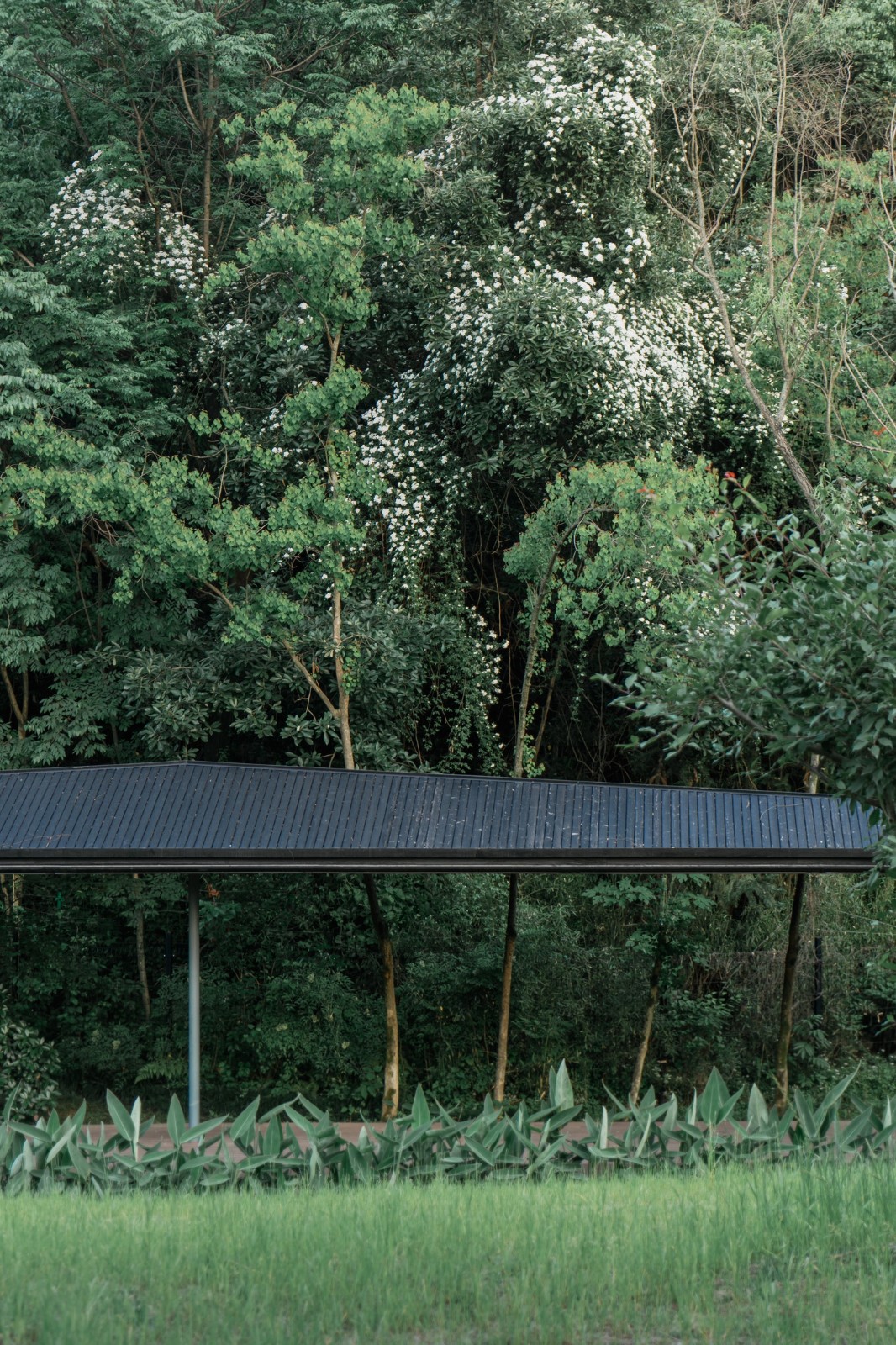 BIM建筑|溪上飞檐：浙江音乐学院校园微更新 / 朱培栋-line+建筑事务所、gad