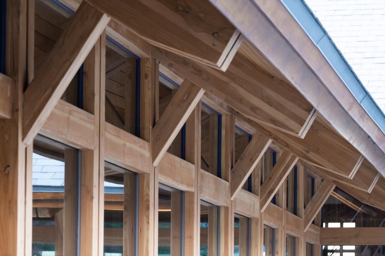 BIM建筑|谦逊朴实，但精工细琢的“暖建筑”：大地国际生命科学园咖啡厅 / 隽执科技