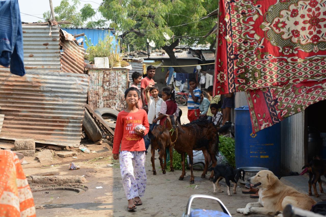 BIM建筑|Sanjaynagar 贫民窟重建项目 / Community Design Agency