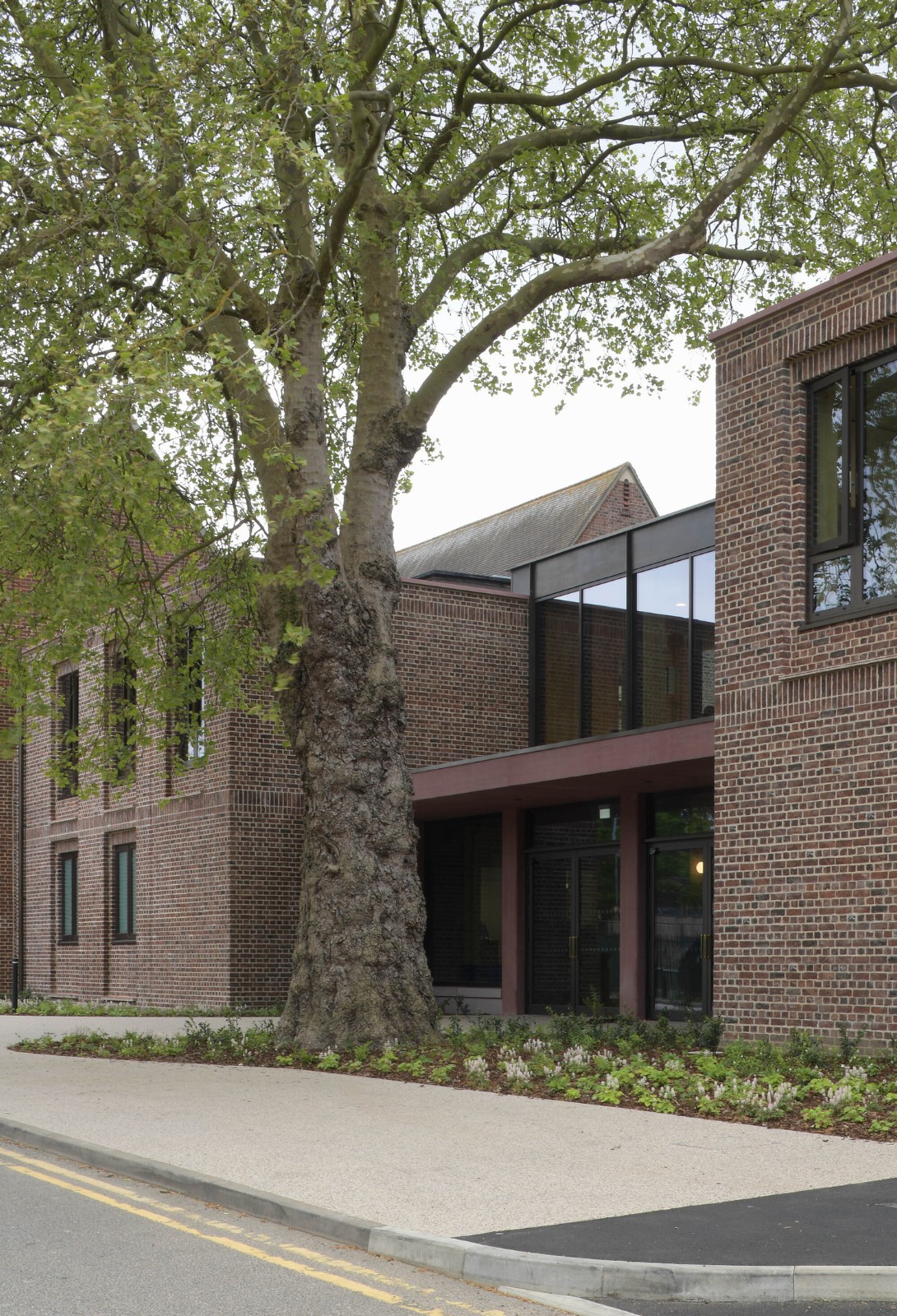 BIM建筑|复古绿釉，剑桥大学食堂 / Feilden Fowles