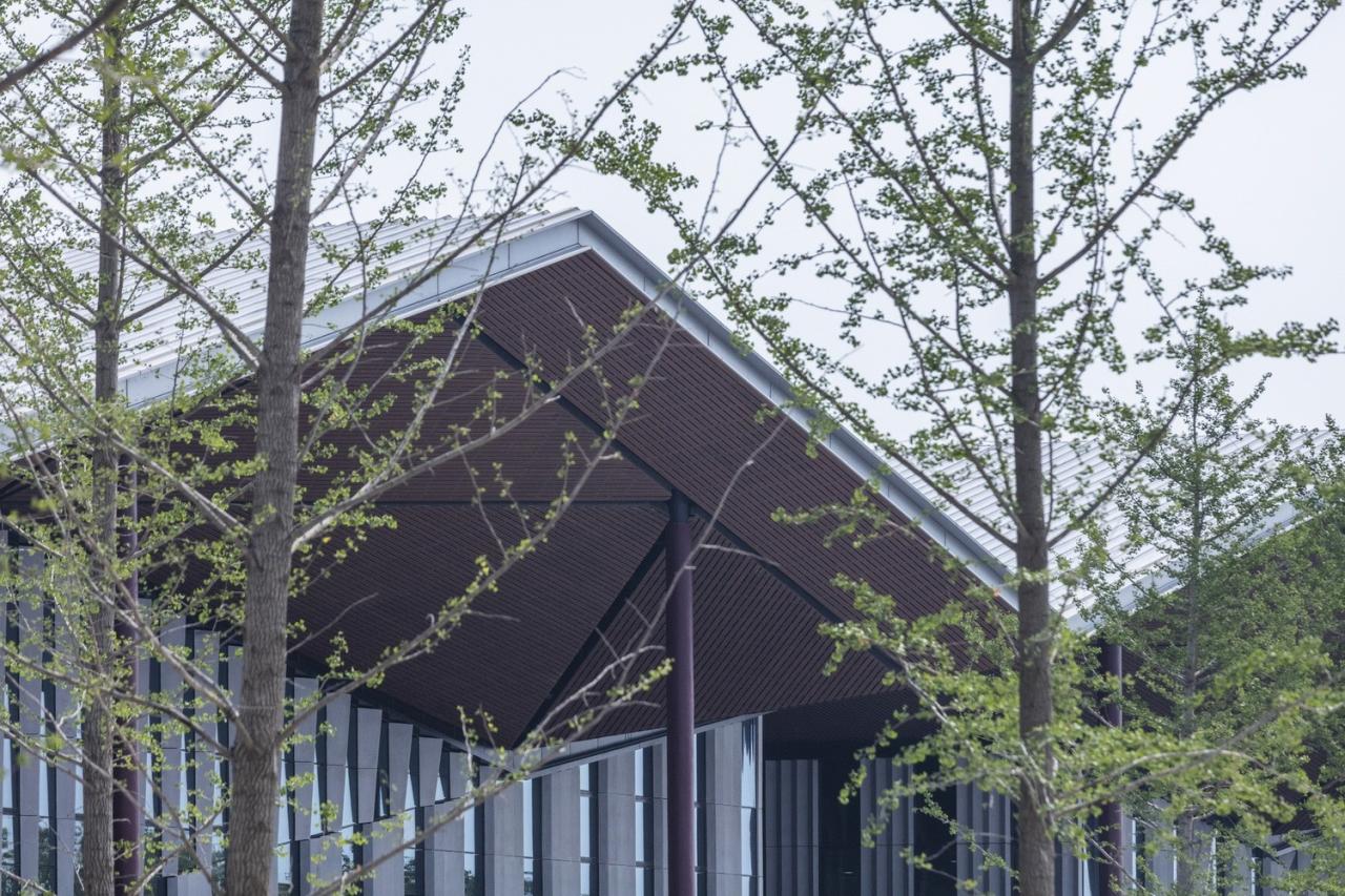 BIM建筑|第十届中国花博会复兴馆 / 华建集团上海建筑设计研究院