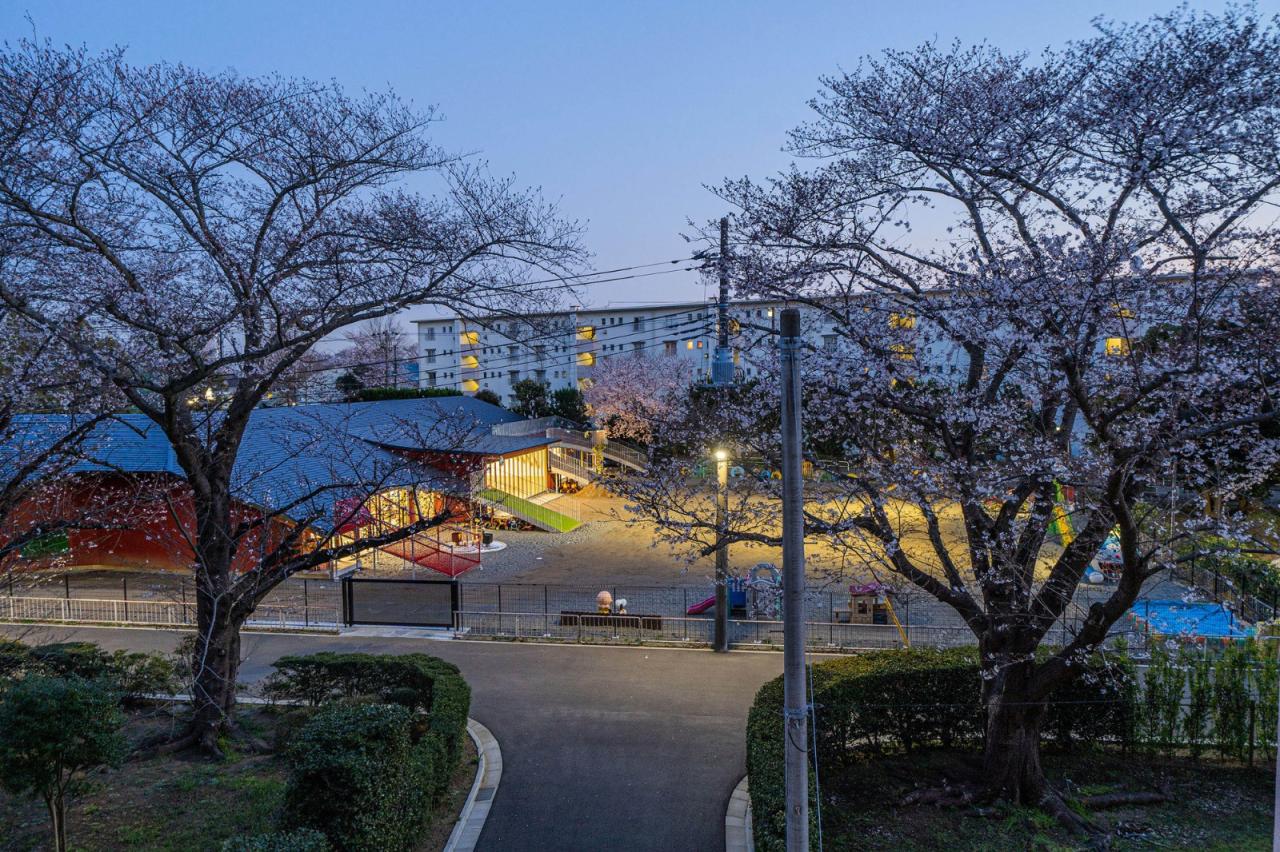 BIM建筑|肆意奔跑：森中之丘幼儿园 / STUDIO YY