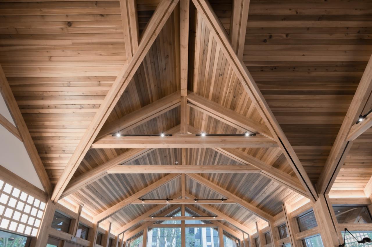 BIM建筑|谦逊朴实，但精工细琢的“暖建筑”：大地国际生命科学园咖啡厅 / 隽执科技