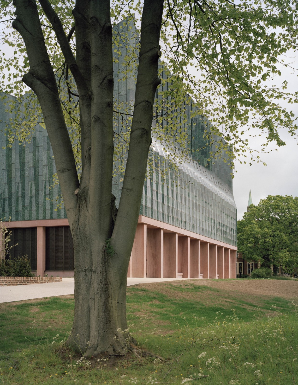 BIM建筑|复古绿釉，剑桥大学食堂 / Feilden Fowles