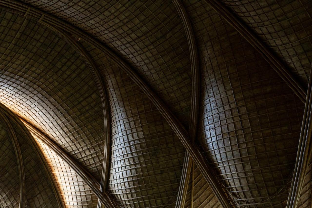 BIM建筑|最小结构最大空间，竹装置“弧” / IBUKU