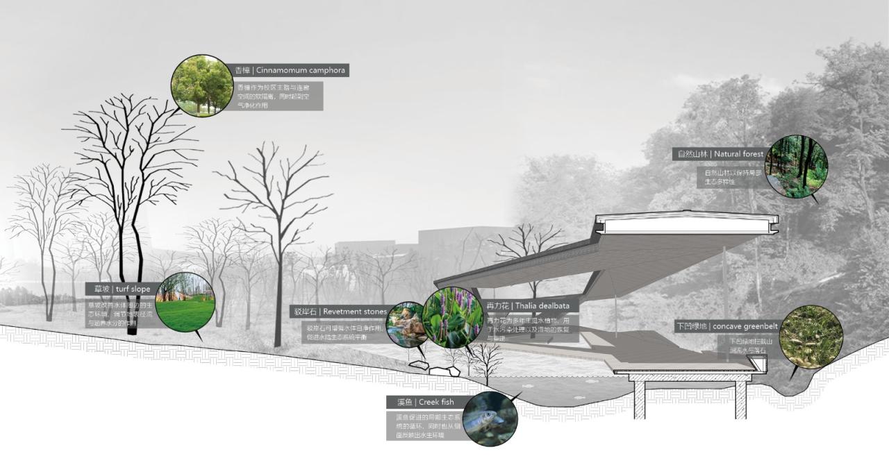 BIM建筑|溪上飞檐：浙江音乐学院校园微更新 / 朱培栋-line+建筑事务所、gad