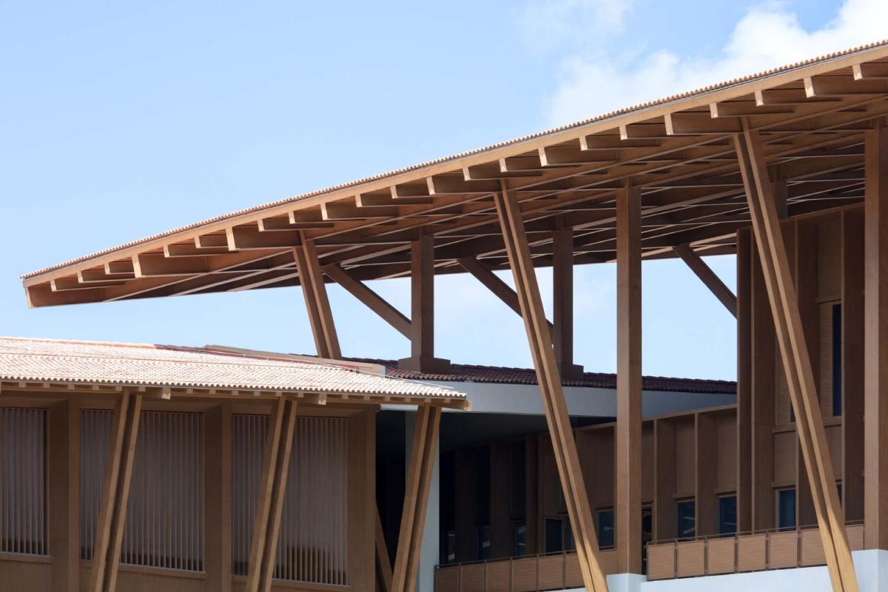 BIM建筑|三亚海棠湾医养示范中心 / line+建筑事务所