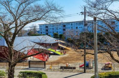 BIM建筑|肆意奔跑：森中之丘幼儿园 / STUDIO YY-BIM建筑网