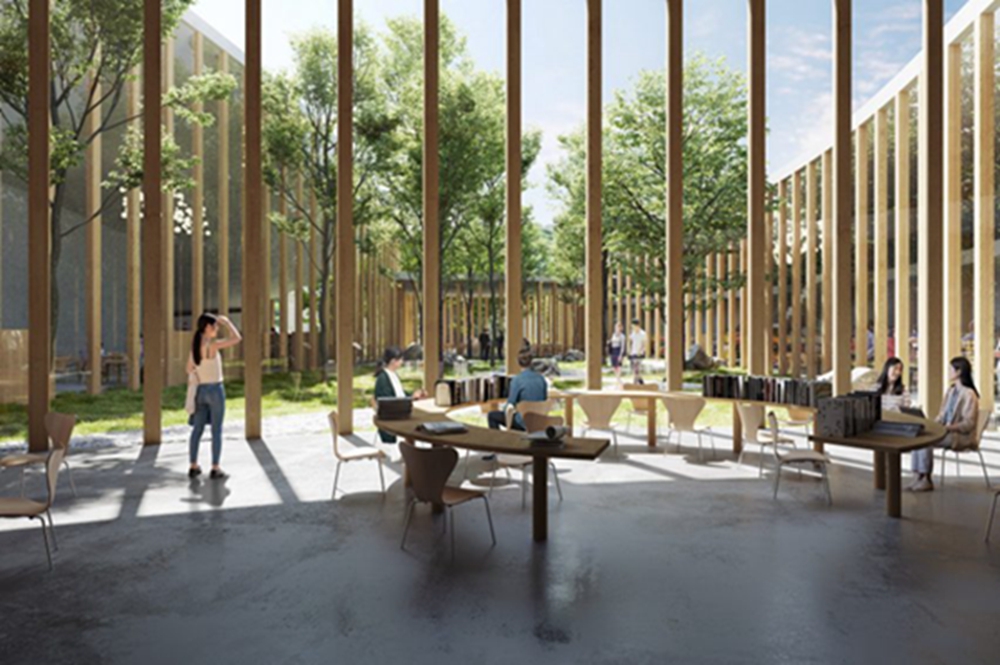 BIM建筑|藤本壮介为日本乡村大学设计可步行屋顶