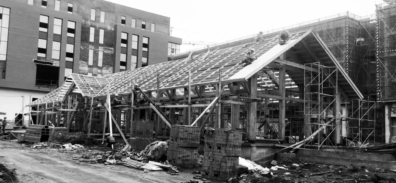 BIM建筑|谦逊朴实，但精工细琢的“暖建筑”：大地国际生命科学园咖啡厅 / 隽执科技