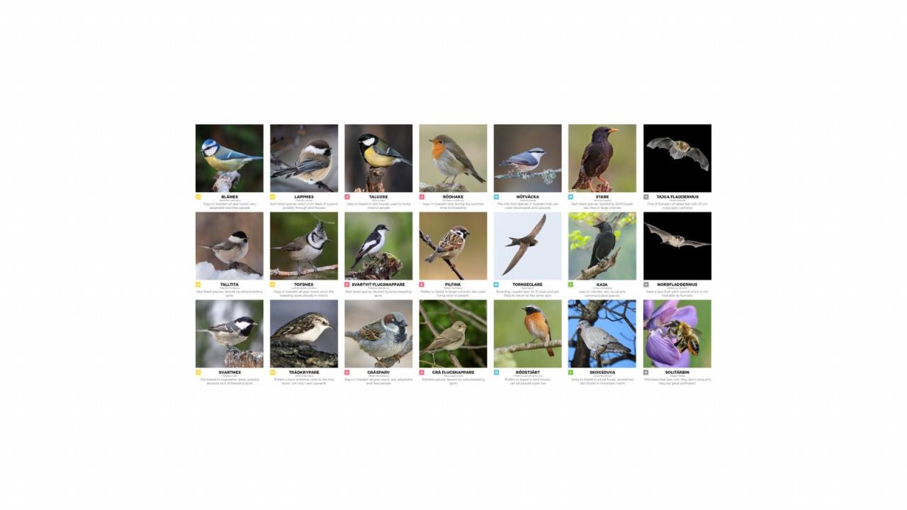 BIM建筑|树顶酒店“生物圈” / BIG