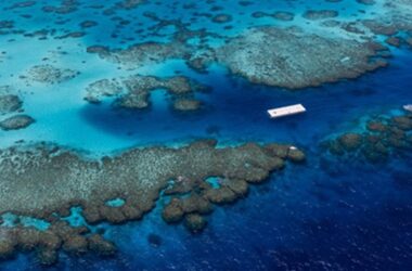 BIM建筑|阿迪达斯在大堡礁推出浮动网球场-BIM建筑网