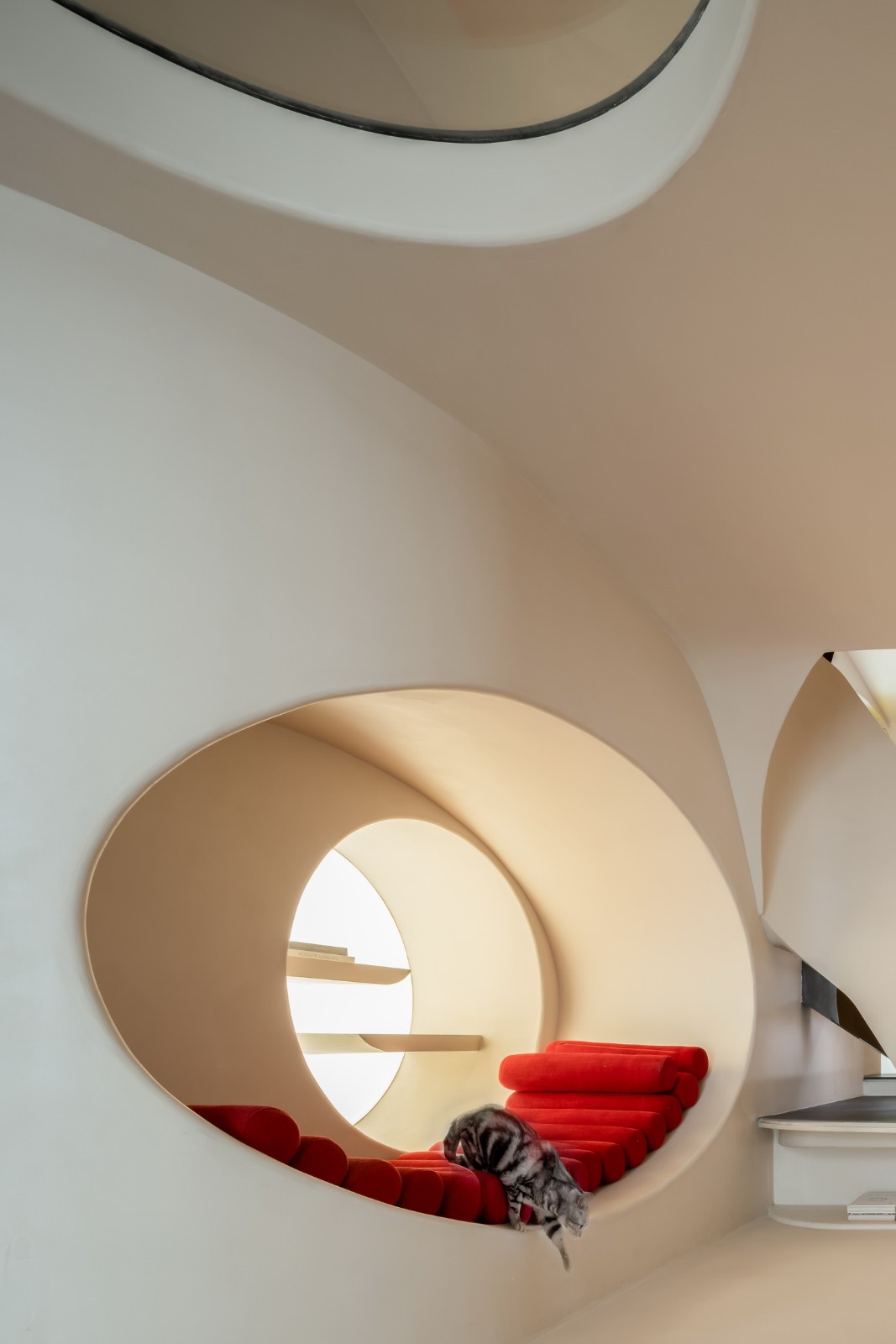 BIM建筑|打开时间的任意门 / 刘荣禄新作