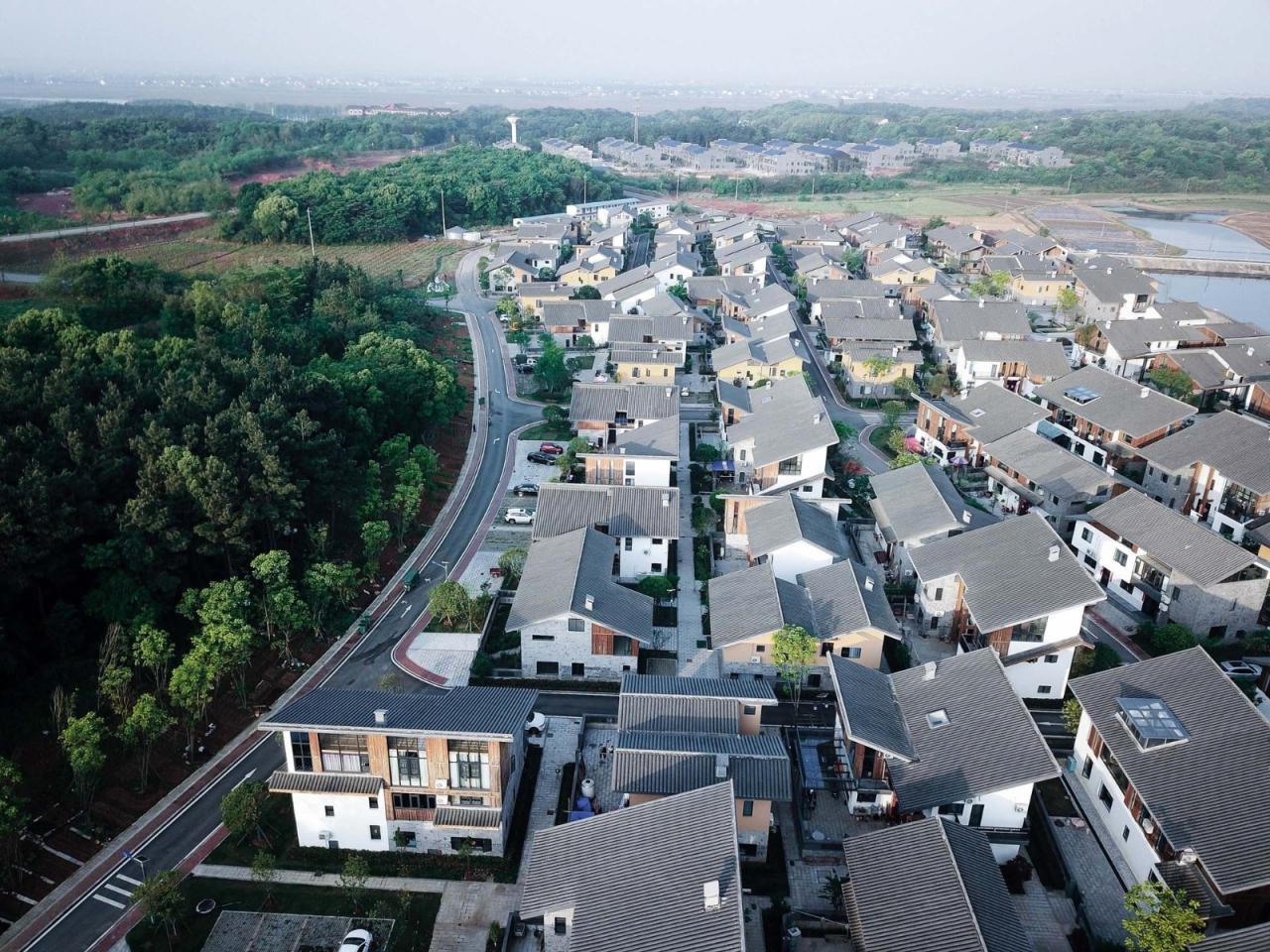 BIM建筑|汨罗“端午人家”乡村安置聚落 / 造作建筑工作室