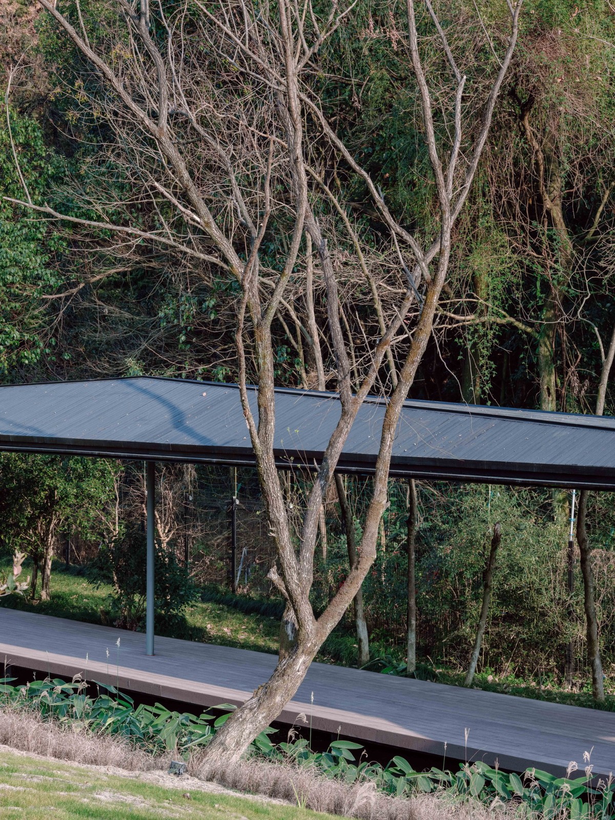 BIM建筑|溪上飞檐：浙江音乐学院校园微更新 / 朱培栋-line+建筑事务所、gad