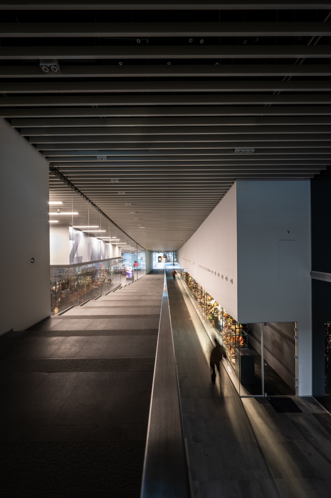 BIM建筑|布达佩斯民族学博物馆 / NAPUR Architect