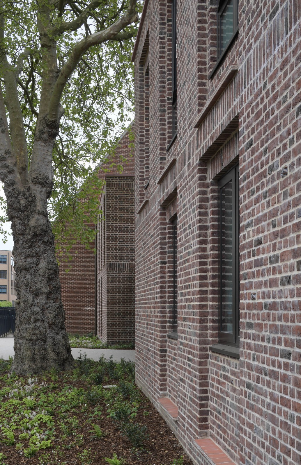 BIM建筑|复古绿釉，剑桥大学食堂 / Feilden Fowles