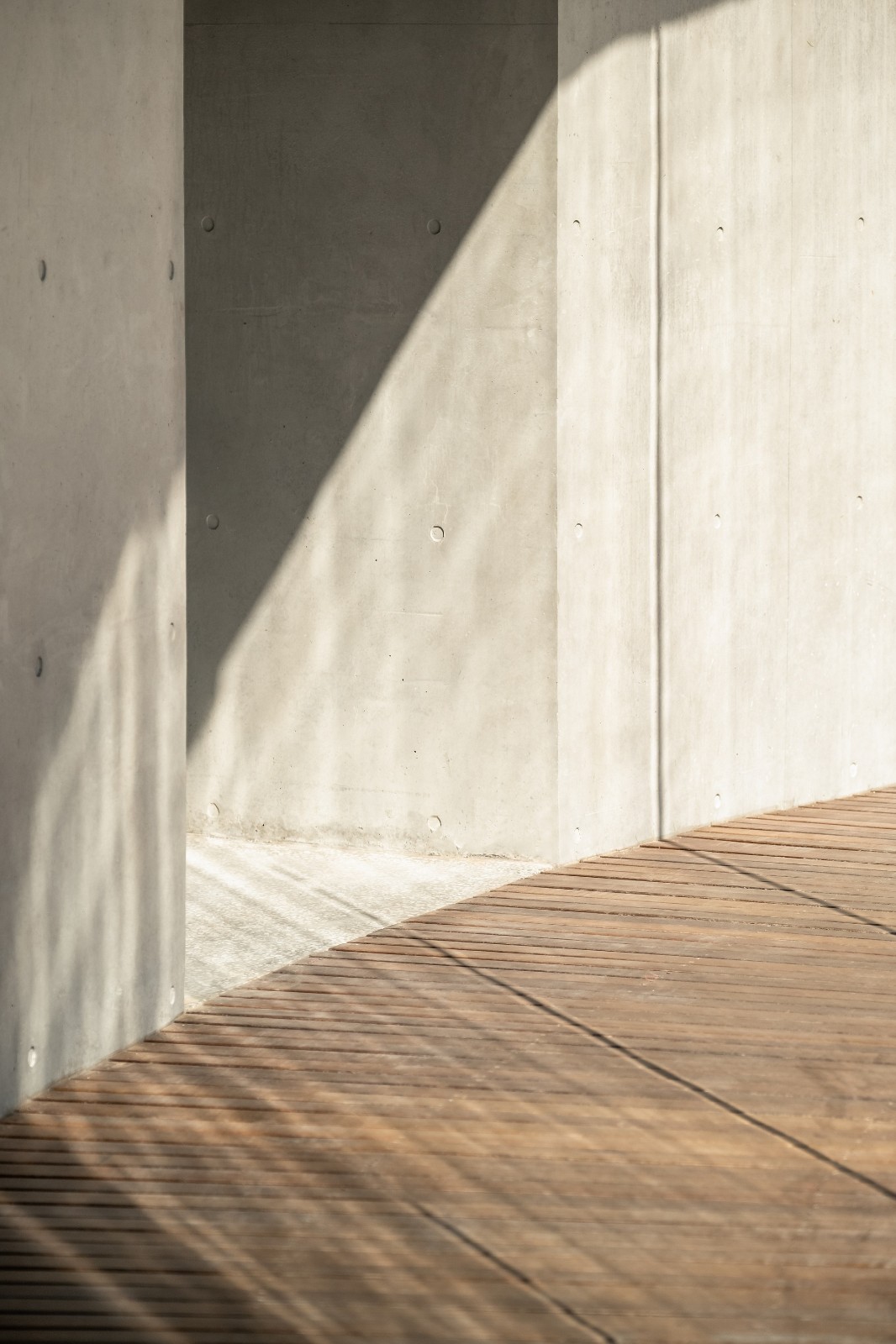 BIM建筑|海边咖啡厅：海之回声 / 同一建筑设计事务所