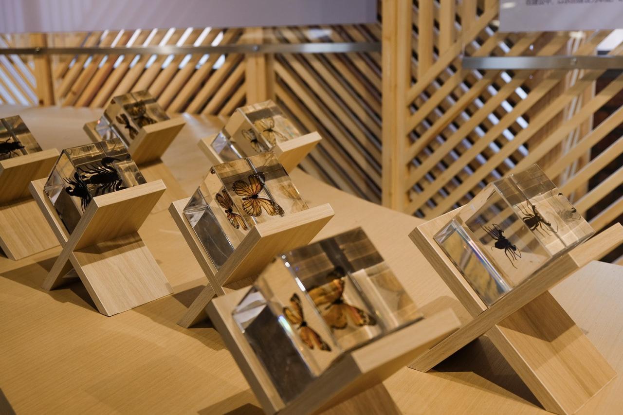 BIM建筑|青龙湖·漂浮种子：自我更新 / 小隐建筑事务所