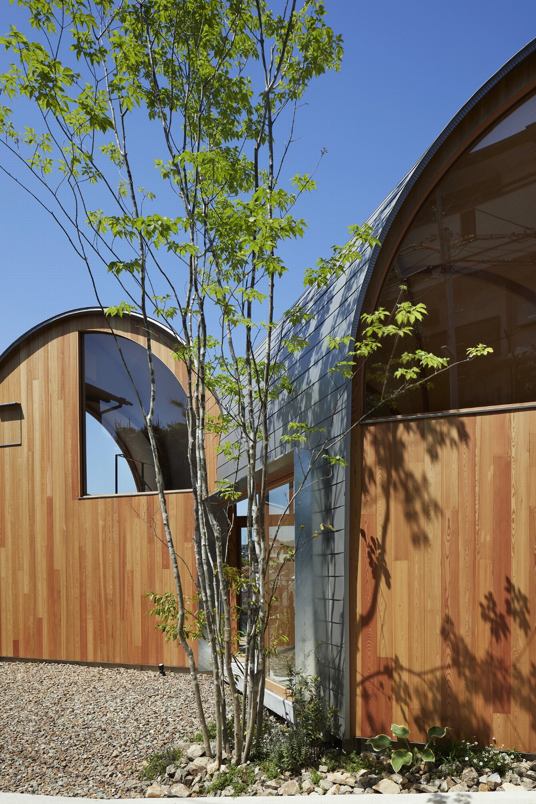 BIM建筑|甲阳园之家 / 畑友洋建筑设计事务所