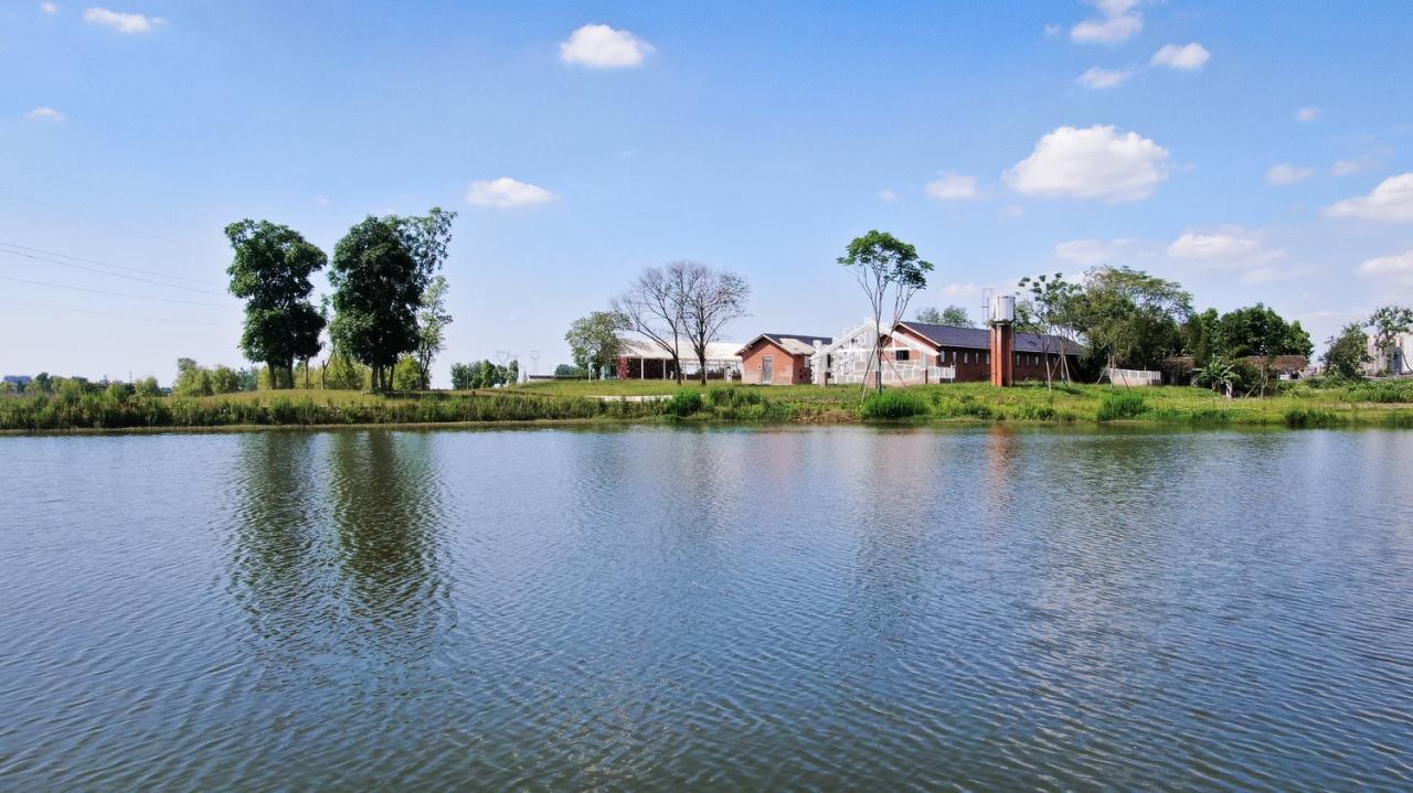 BIM建筑|青龙湖·漂浮种子：自我更新 / 小隐建筑事务所