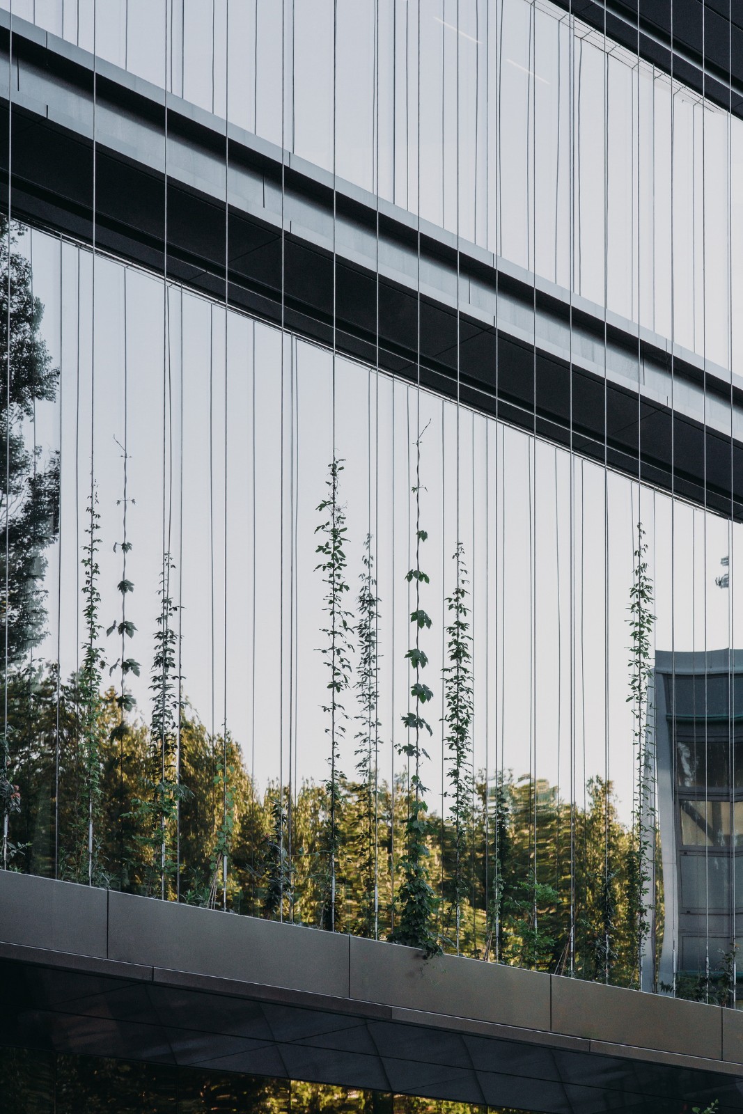 BIM建筑|荷兰代尔夫特理工大学新型能源再生跨学科教学楼 / UNStudio