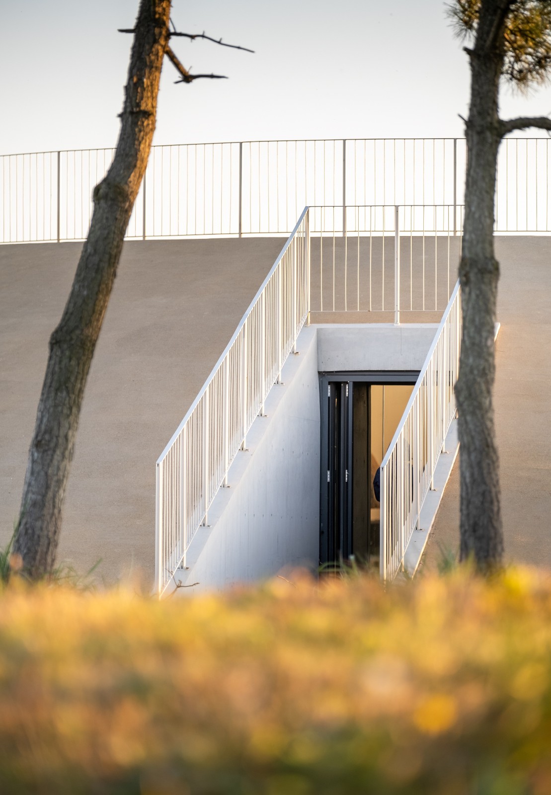 BIM建筑|海边咖啡厅：海之回声 / 同一建筑设计事务所