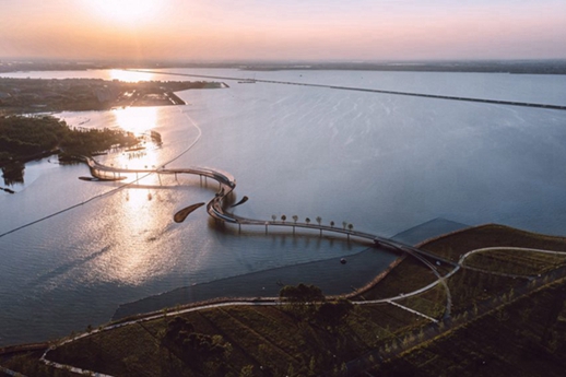 BIM建筑|BAU在上海元荡湖设计“蜿蜒大桥”