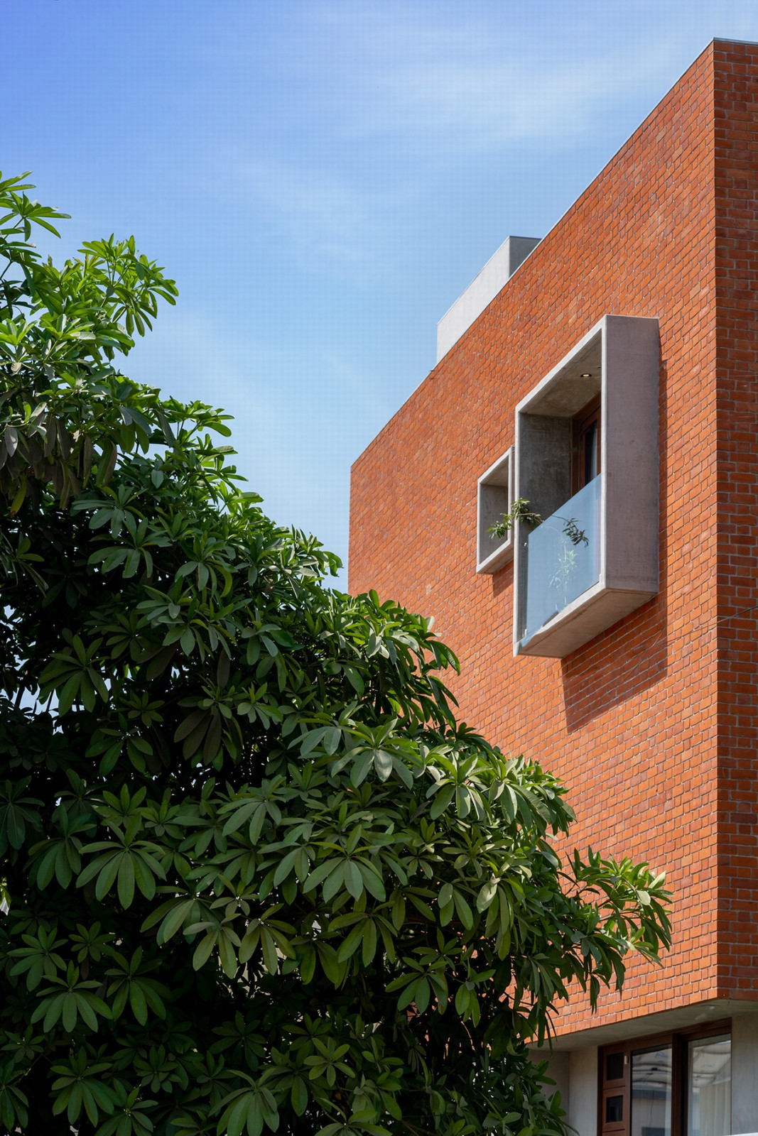 BIM建筑|漂浮庭院住宅 / TRAANSPACE