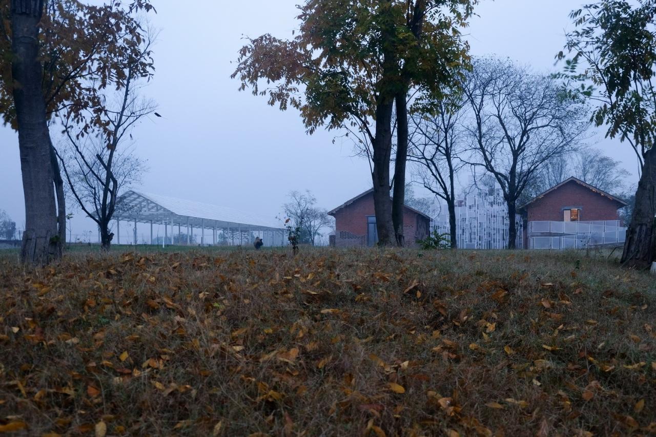 BIM建筑|青龙湖·漂浮种子：自我更新 / 小隐建筑事务所