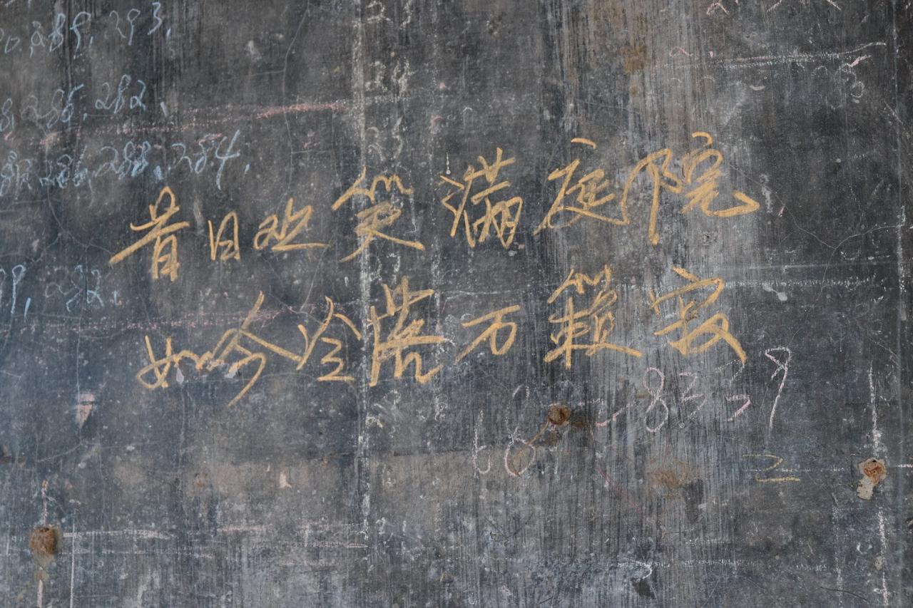 BIM建筑|青龙湖·漂浮种子：自我更新 / 小隐建筑事务所