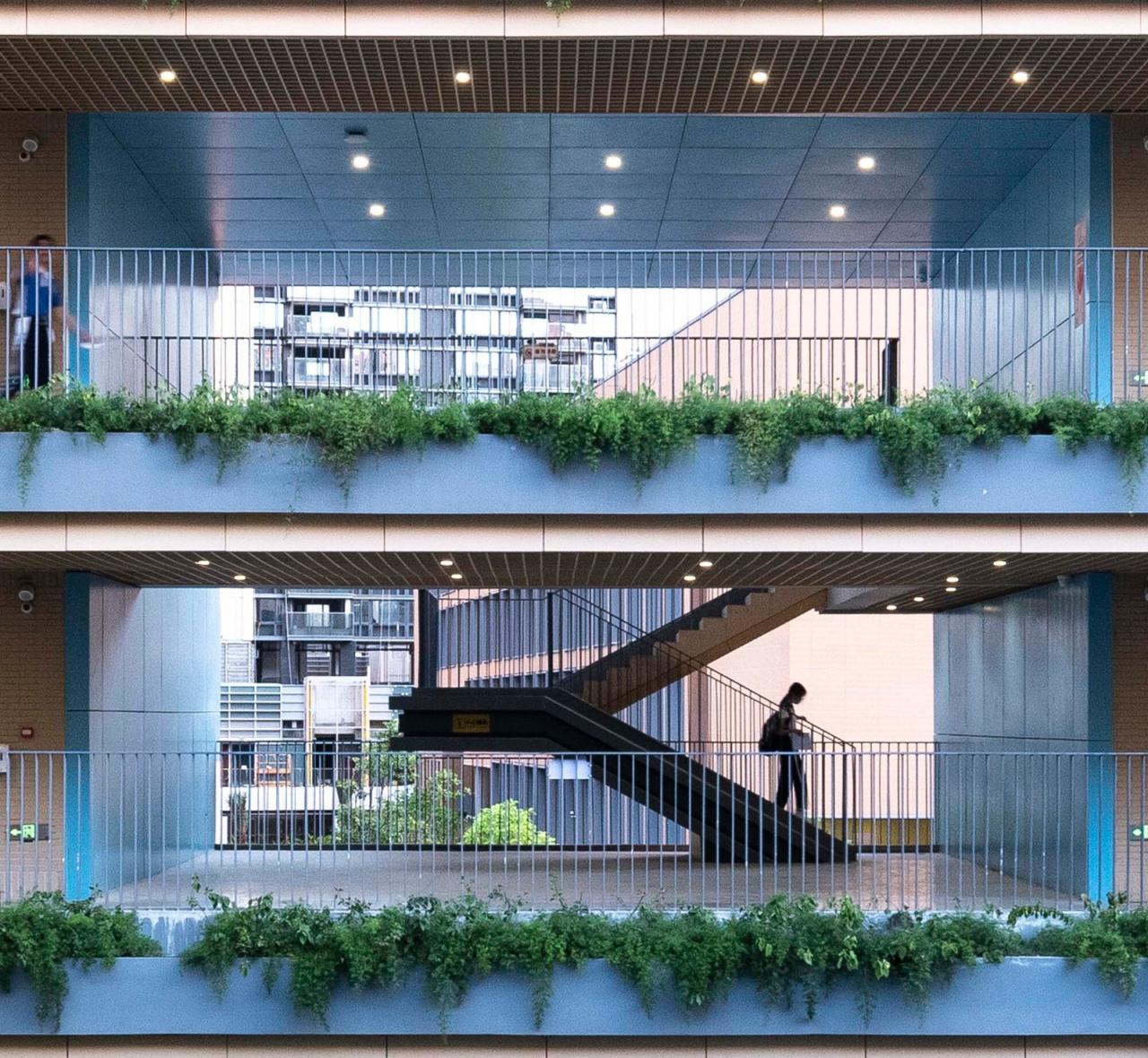 BIM建筑|深圳外国语学校宝安学校 / 华阳国际设计集团