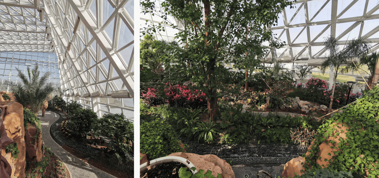 BIM建筑|优雅的变奏·南通植物园温室 / 简和工作室