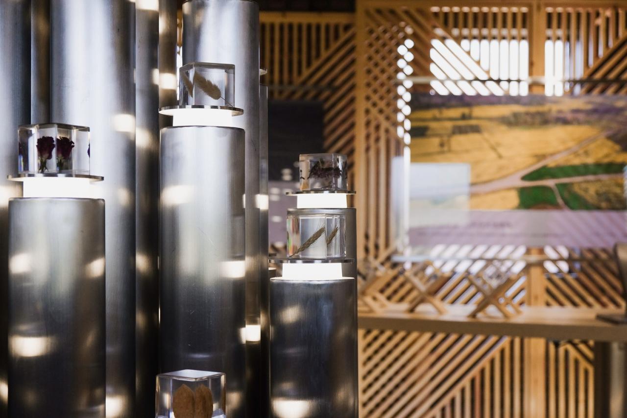 BIM建筑|青龙湖·漂浮种子：自我更新 / 小隐建筑事务所